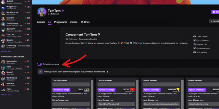 Comment Recevoir des Dons sur Twitch ? Bonne ou Mauvaise Idée