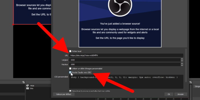 vdo ninja ajout source navigateur