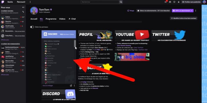 extension twitch discord