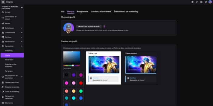 twitch paramètres menu chaîne onglet marque