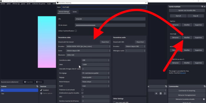 multiple rtmp outputs réglages indépenants