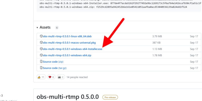 multiple rtmp outputs télécharger sur github
