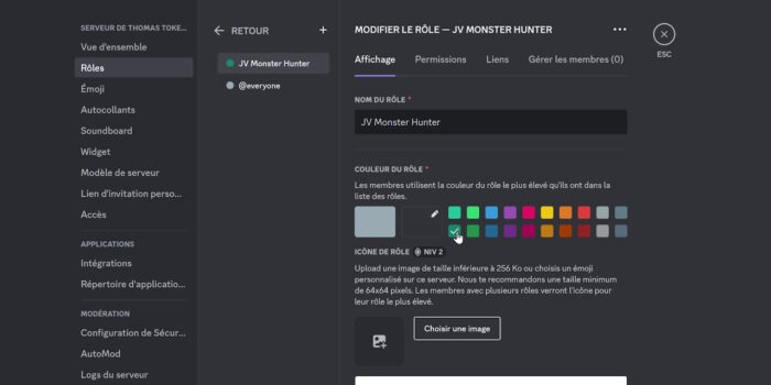 discord exemple de rôle avec ses options de personnalisation