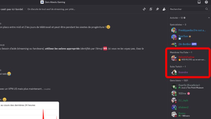 discord exemple de rôles séparés des autres