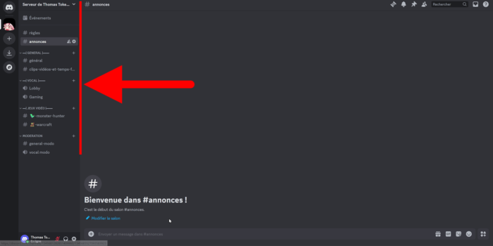 discord exemple de structure des salons