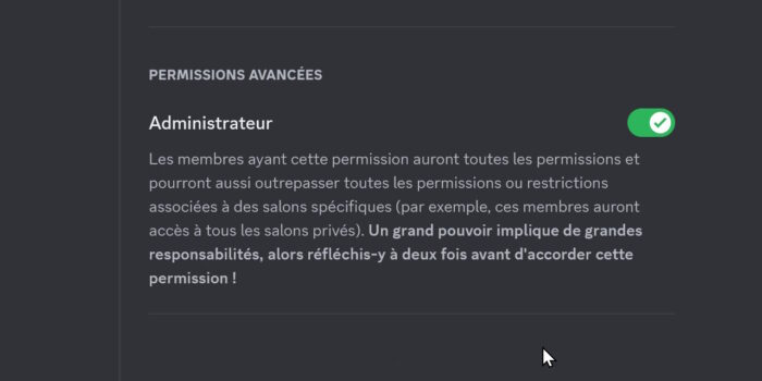 discord option pour accorder les privilèges administrateur