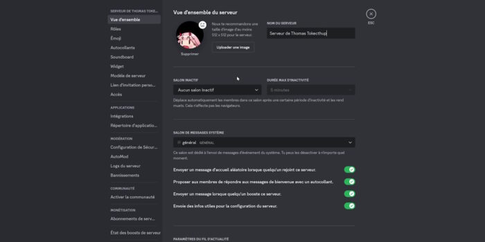 discord paramètres du serveur vue d'ensemble