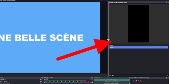 obs studio dock du canevas vertical créé avec se.live