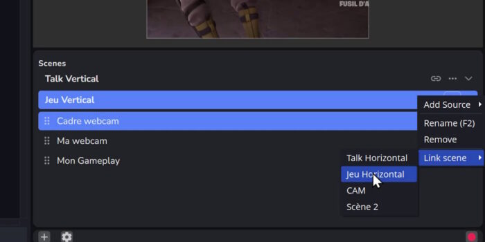 option permettant de lier les scènes du canevas vertical se.live
