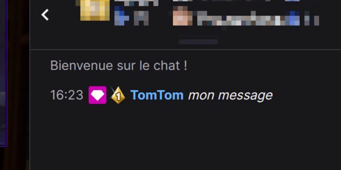 twitch chat message en italique avec la commande me