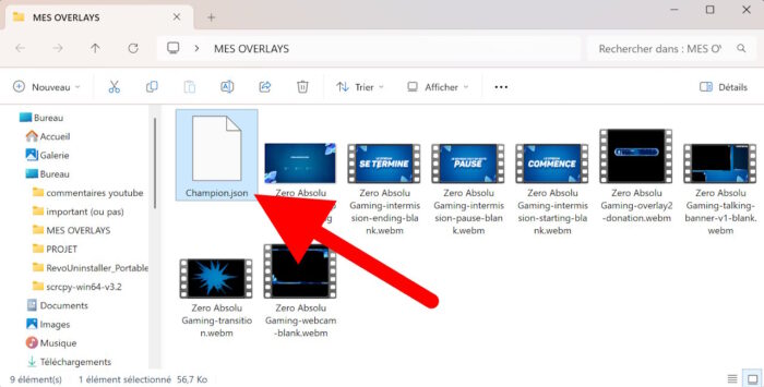 fichier json obtenu après export des scènes d'obs studio